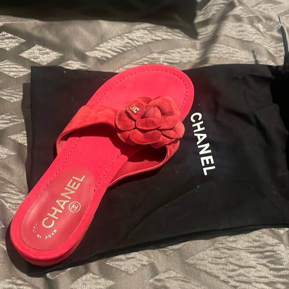 Suede slides from 2016 collection by Karl Lagerfeld. - Picture 1 of 7